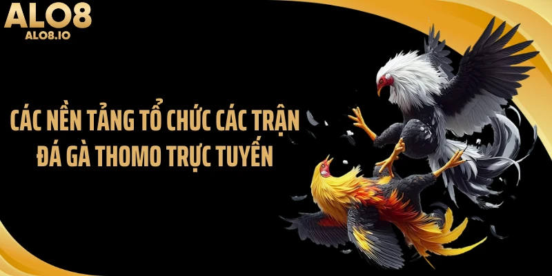 Các nền tảng tổ chức các trận đá gà thomo trực tuyến